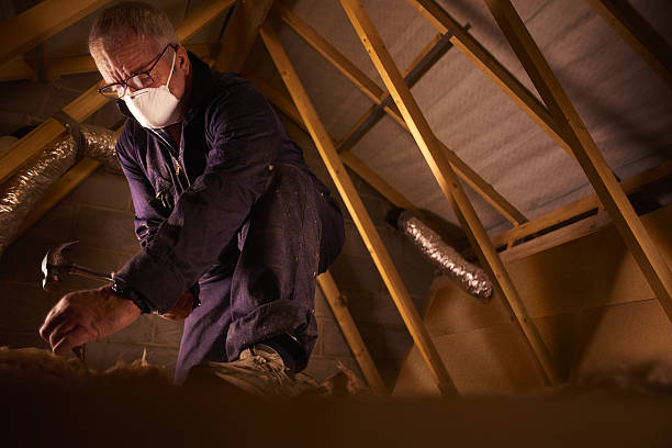 Best Insulation Materials and Products in Palmer, AK